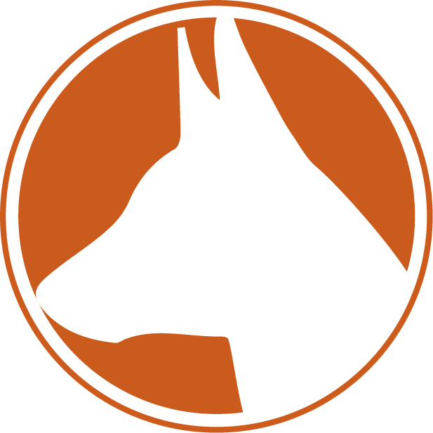CarFetch logo