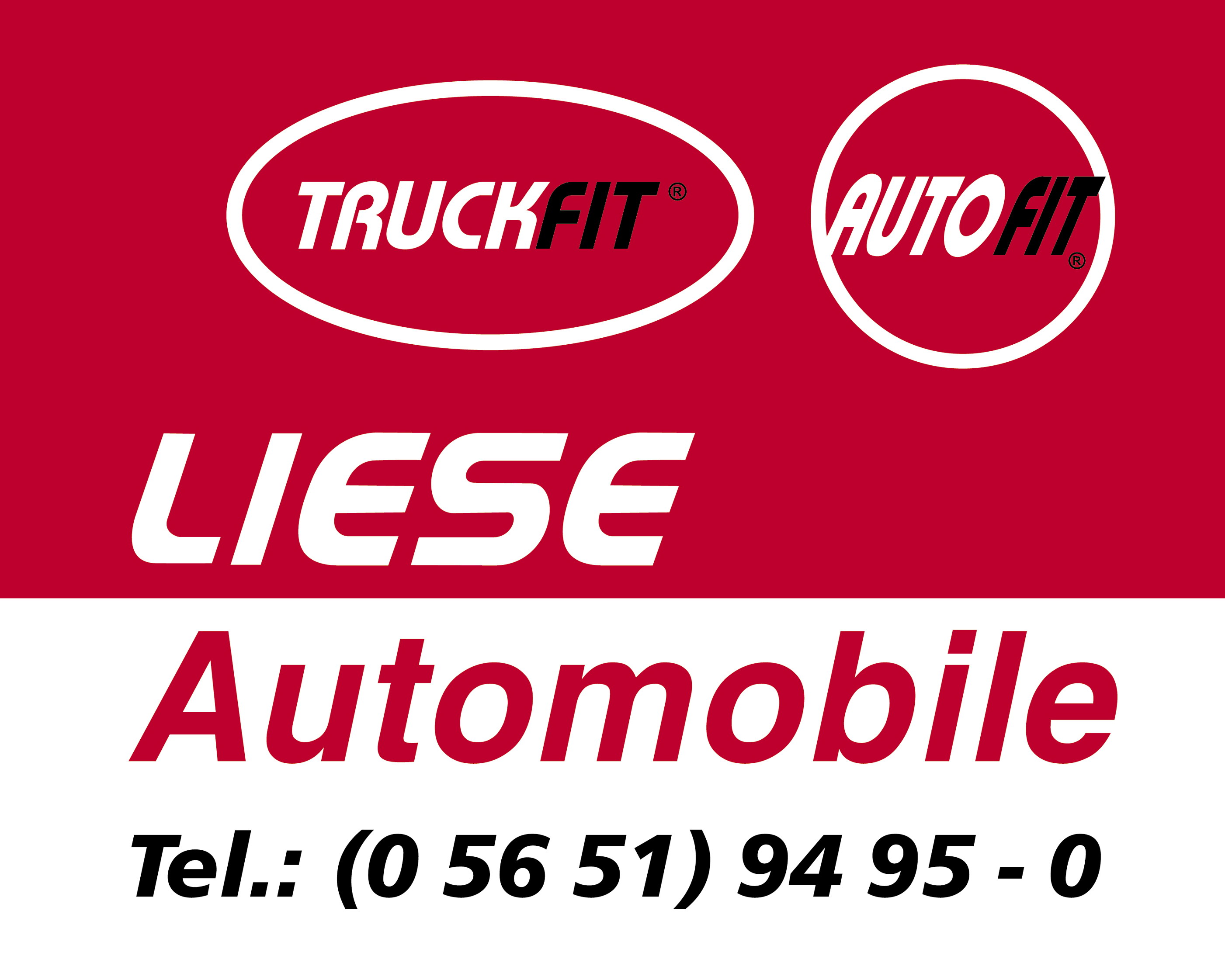 Liese Automobile GmbH - Werkstatt für Pkw & Nfz GmbH logo