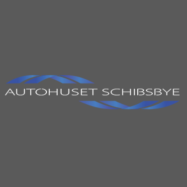 Autohuset Schibsbye - Hella Service Partner logo