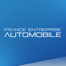FE Automobiles - Chaville logo