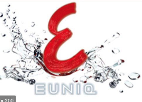Euniq Bilverkstad logo